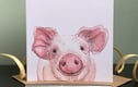 Farmyard
