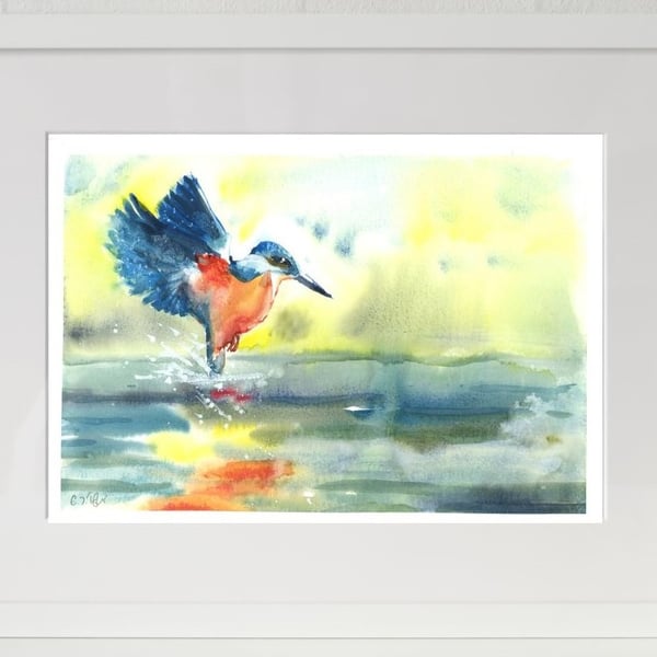 Kingfisher - Limited Edition Print
