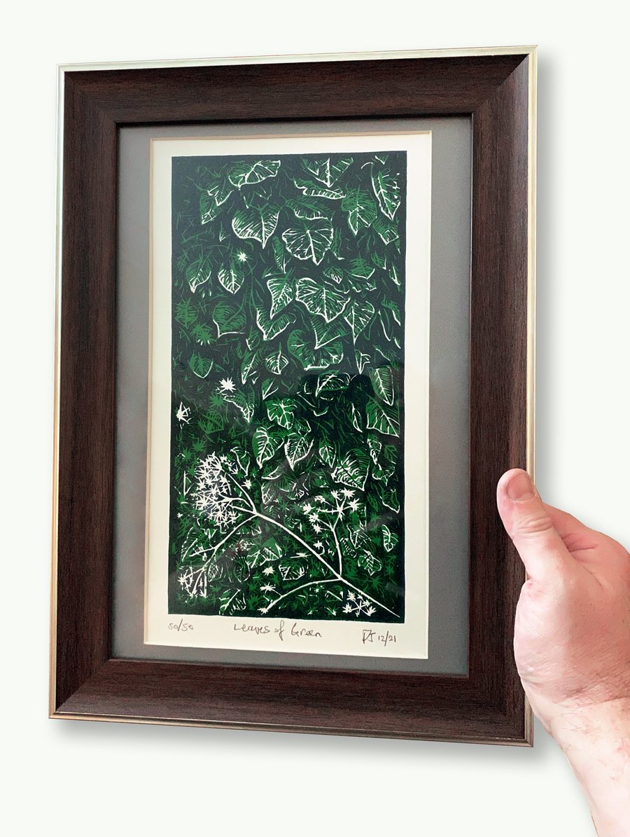 Foliage on a farmyard wall