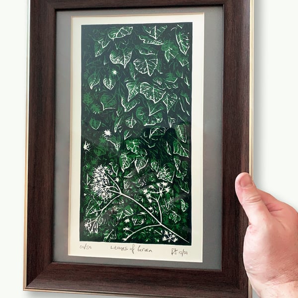 Foliage on a farmyard wall