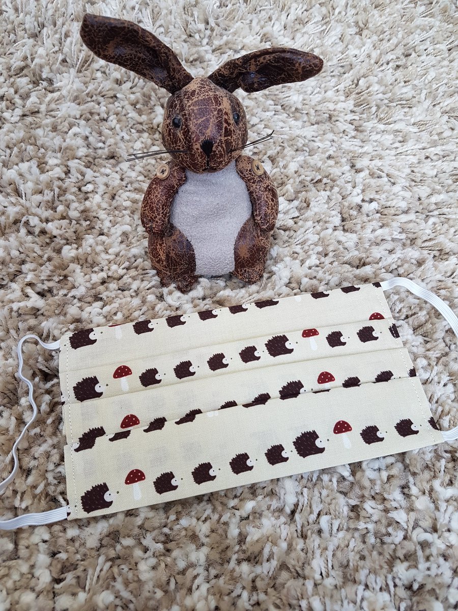 Small Adult or Teenager face covering – Hedgehog print 