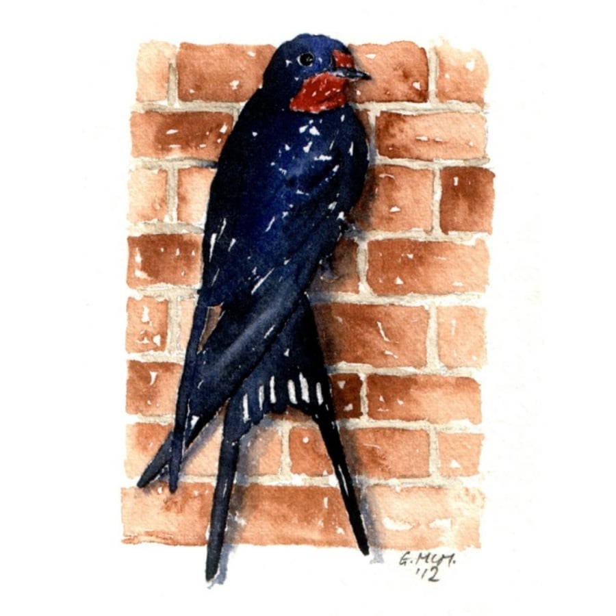 Watercolour sketch - Swallow