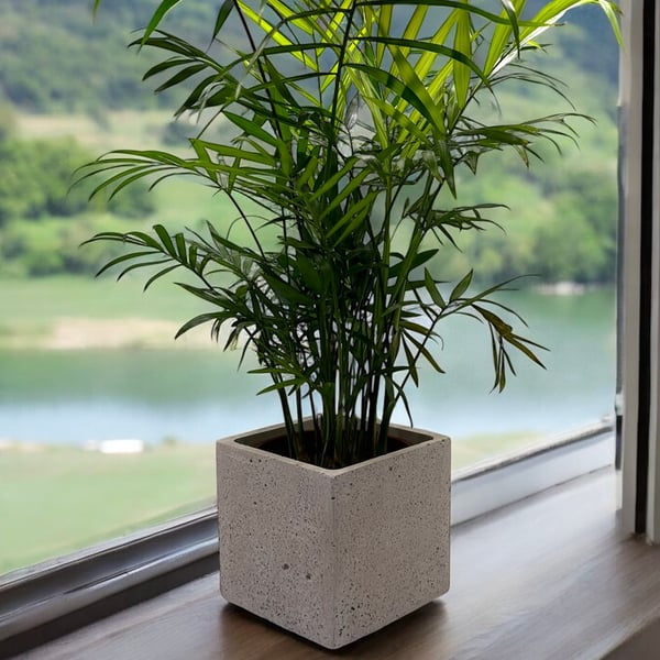 Square Concrete and Granite Plant Pot - Terrazzo Planter Cube cpp14