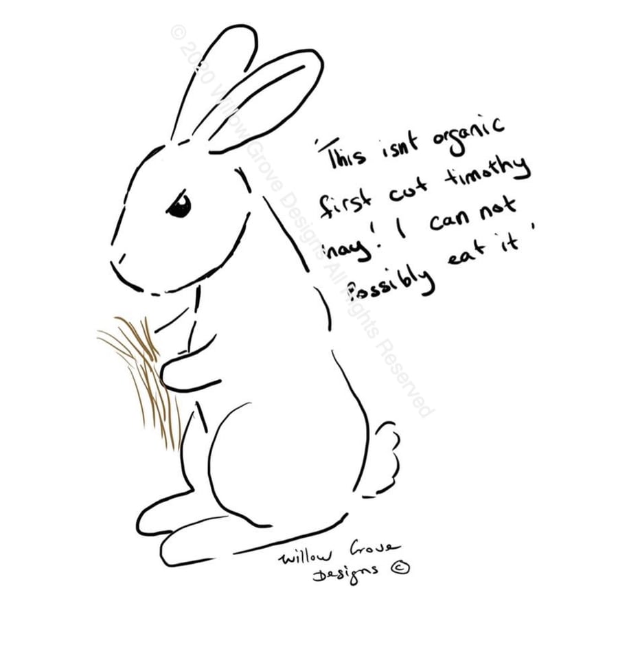 Organic Hay - Art Print