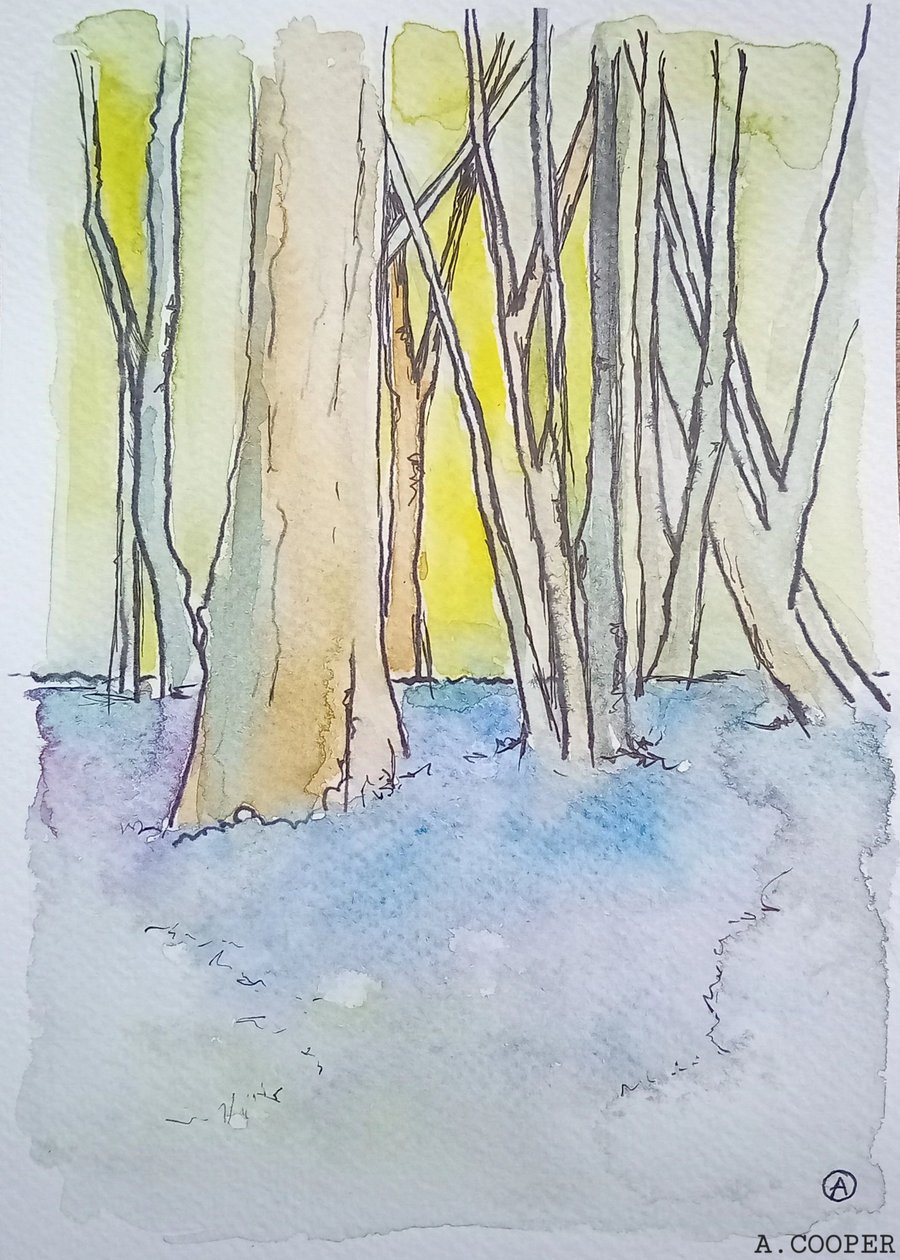 , BLUEBELL WOOD, original watercolour and fine liner painting 