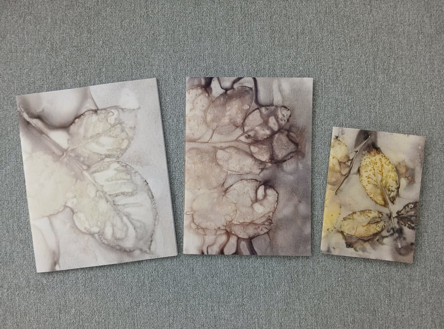 Set of 3 Eco Printed Pamphlet Stitched Notebooks