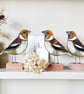 Hawfinch - Image 3