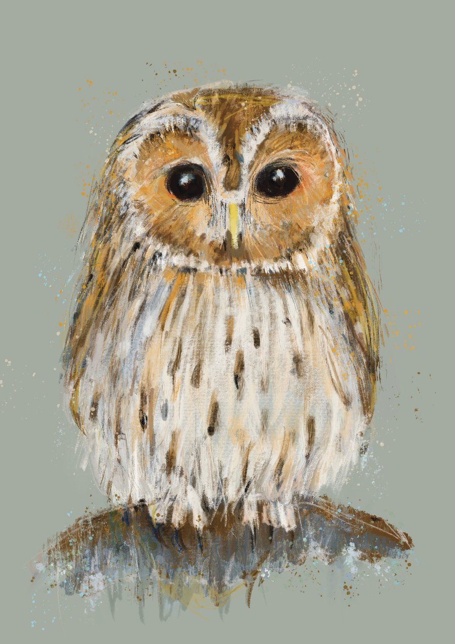 Tawny Owl Art Print- wall art