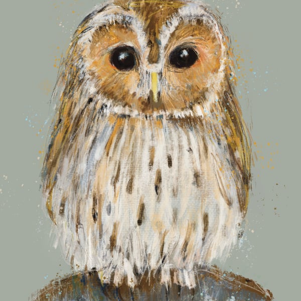 Tawny Owl Art Print- wall art