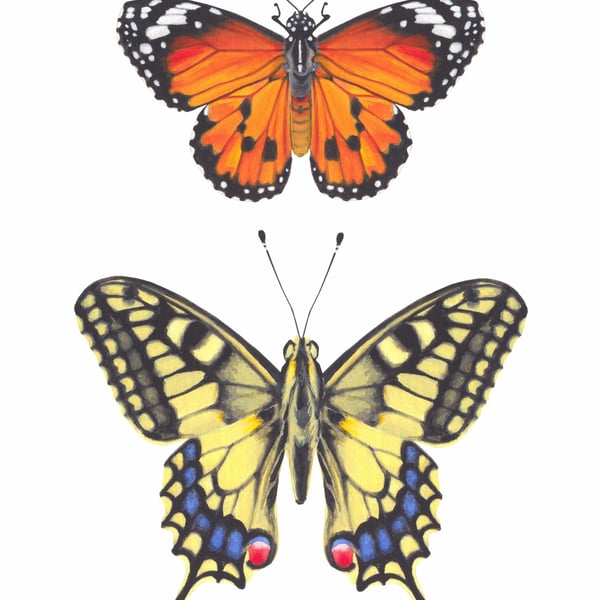 Tropical Butterflies A5 Digital Print