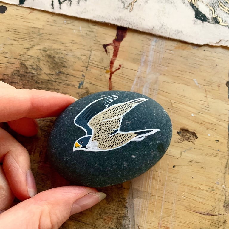 Peregrine Falcon Stone - Handpainted Art Gift for Bird Lovers Home Decor