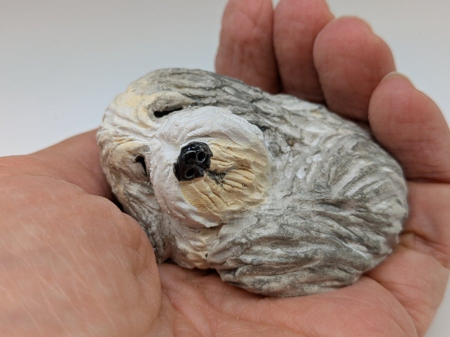 Sleepy Bearded Collie Sculpture