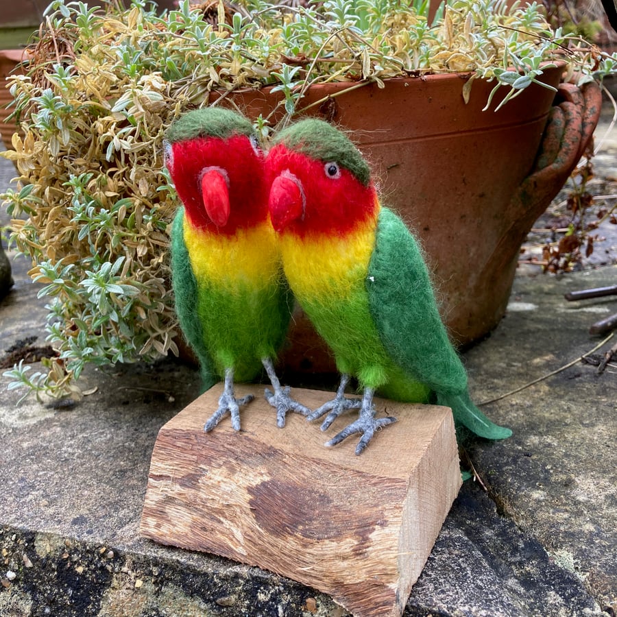 A pair of needle felted lovebirds