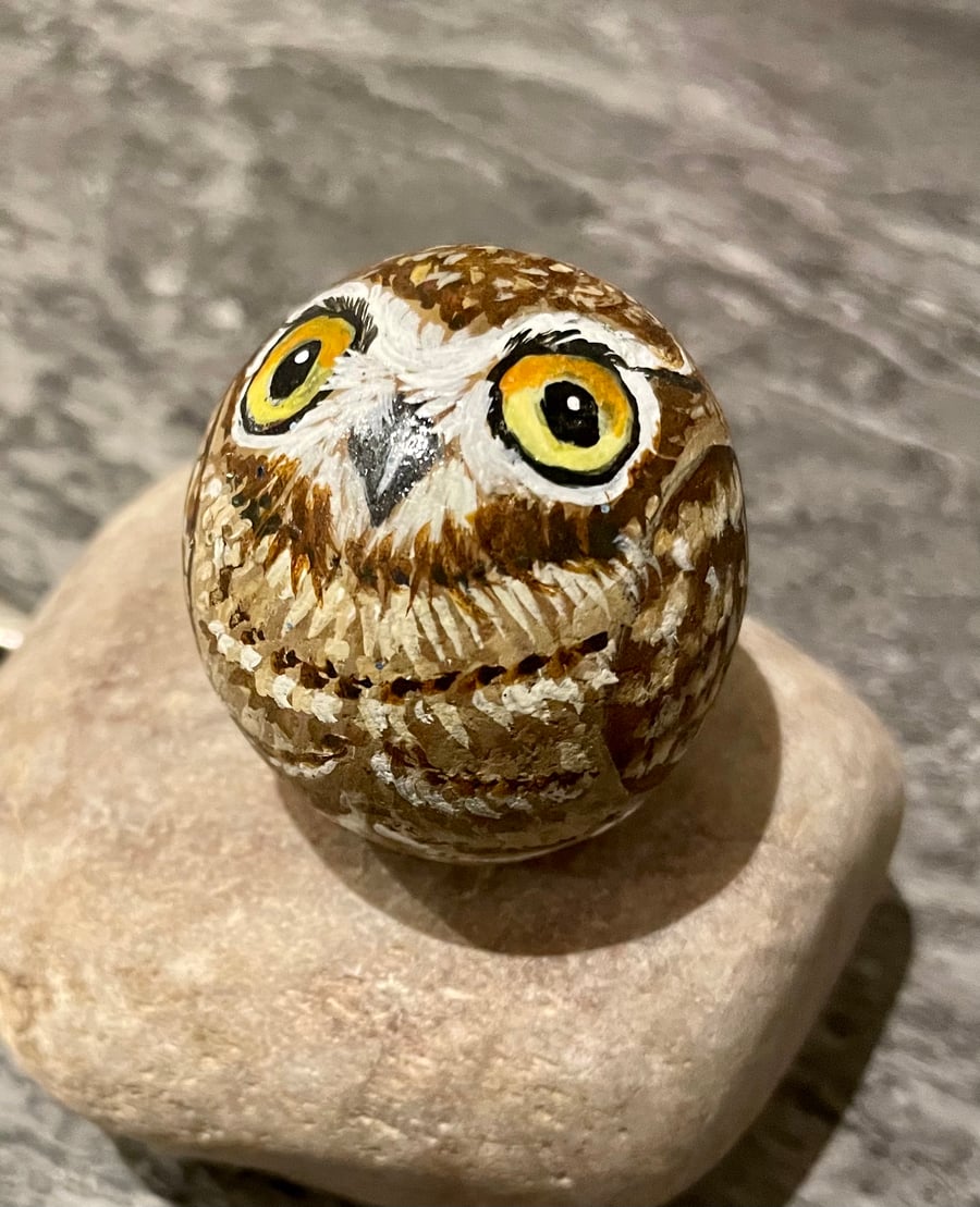 Owl hand painted pebble garden rock stone wildlife art