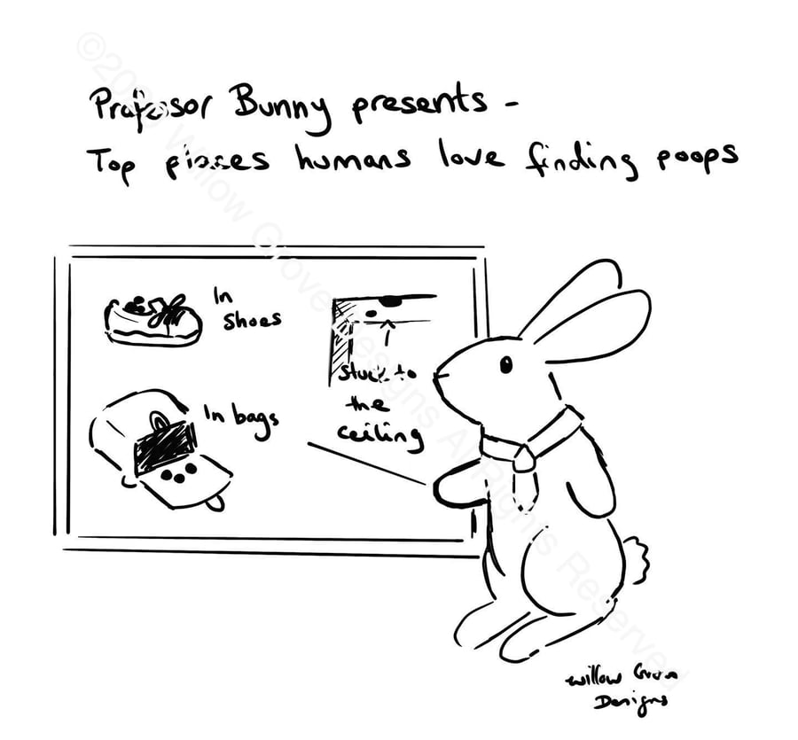 Professor Bunny "Hiding Places" - Art Print