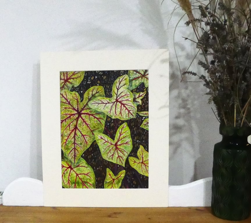 Red Caladium Leaves Tropical Plant Botanical Watercolour Original Painting