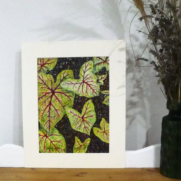 Red Caladium Leaves Tropical Plant Botanical Watercolour Original Painting