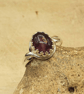 Adjustable amethyst ring - Image 1