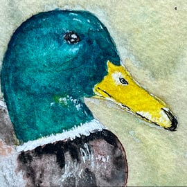 Watercolour of a Duck ACEO - free UK postage 