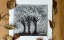 Drypoint Etchings