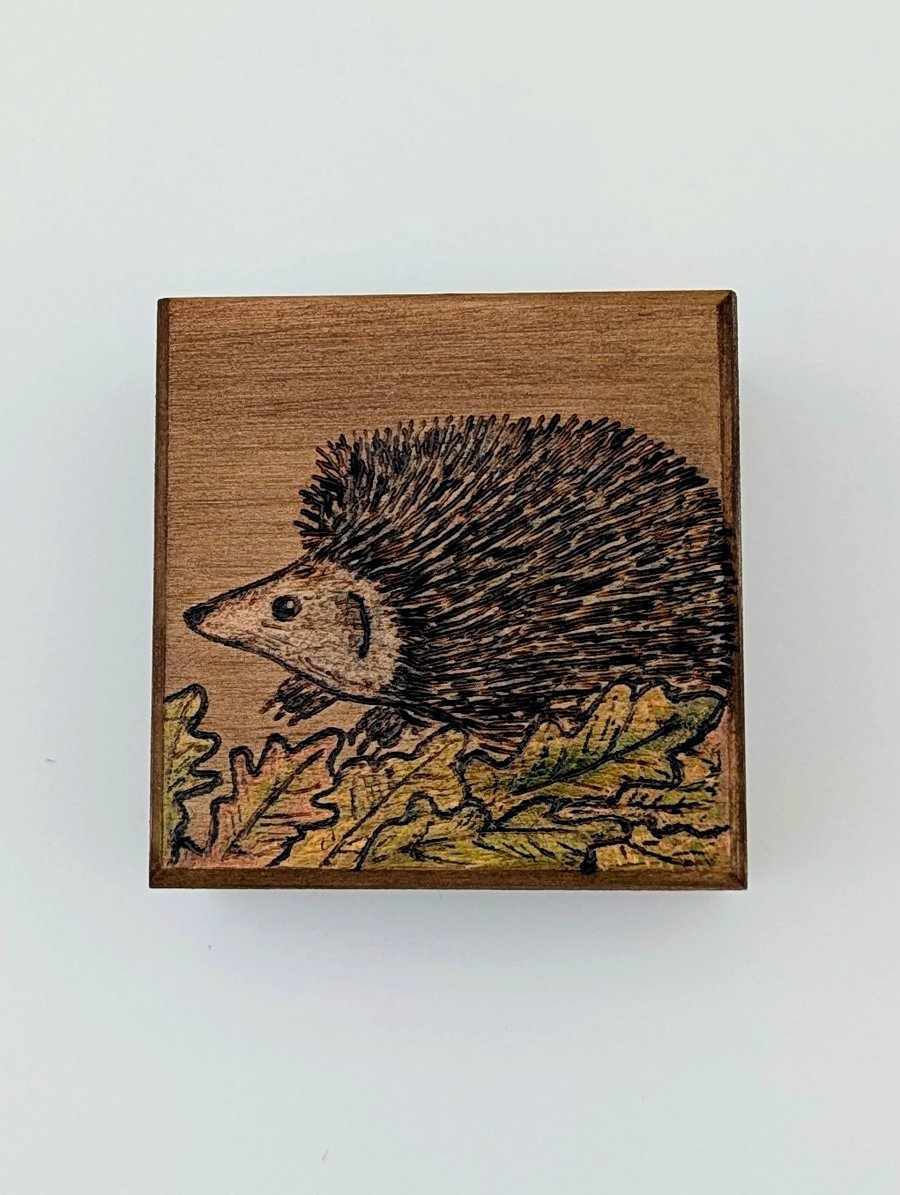 Small wooden box,  pyrography hedgehog, ring or trinket box for a nature lover