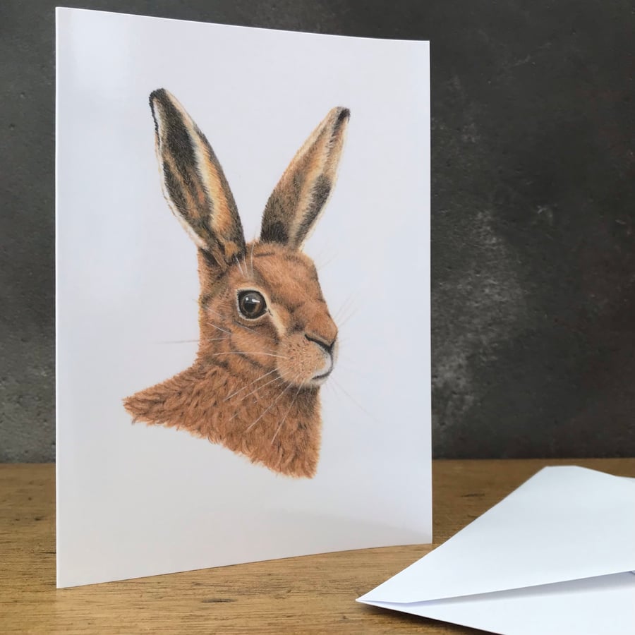 Hare Card