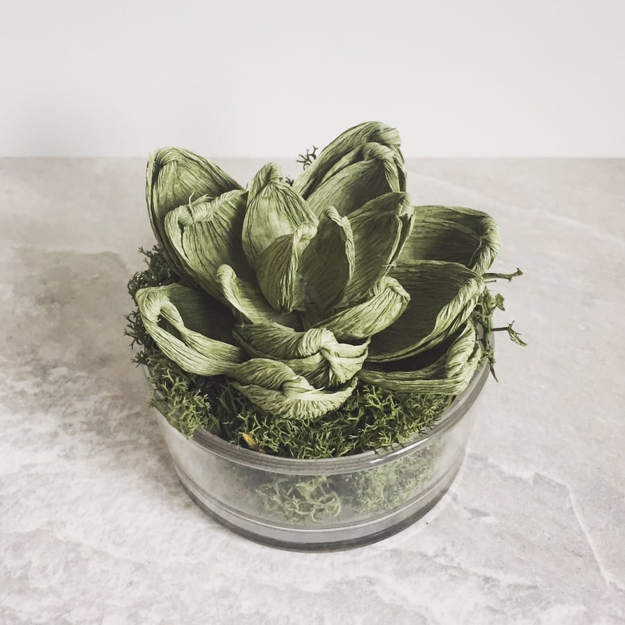 Paper Succulent I 