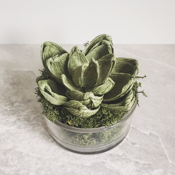 Paper Succulent I 