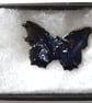blue butterfly brooch - Image 2