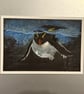 Rockerhopper Penguin Swimming Small Fine Art Print 