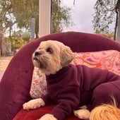 Crafted Cuts Workshop