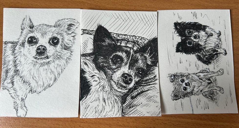 Pet Portraits By Lauren