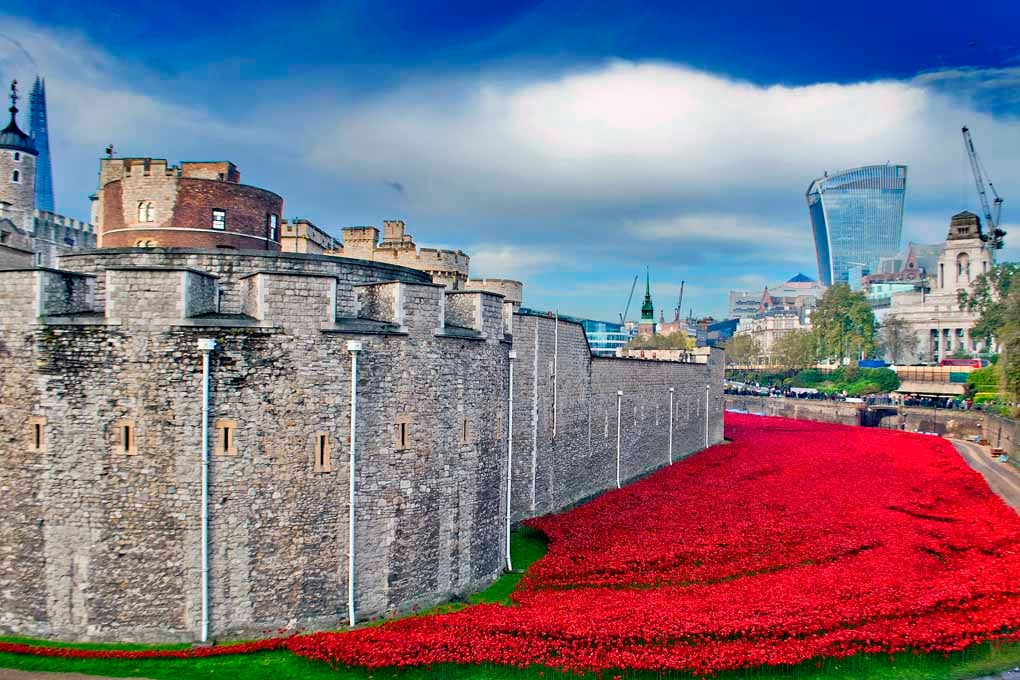 Tower Of London Poppies Red Poppy Photograph Print