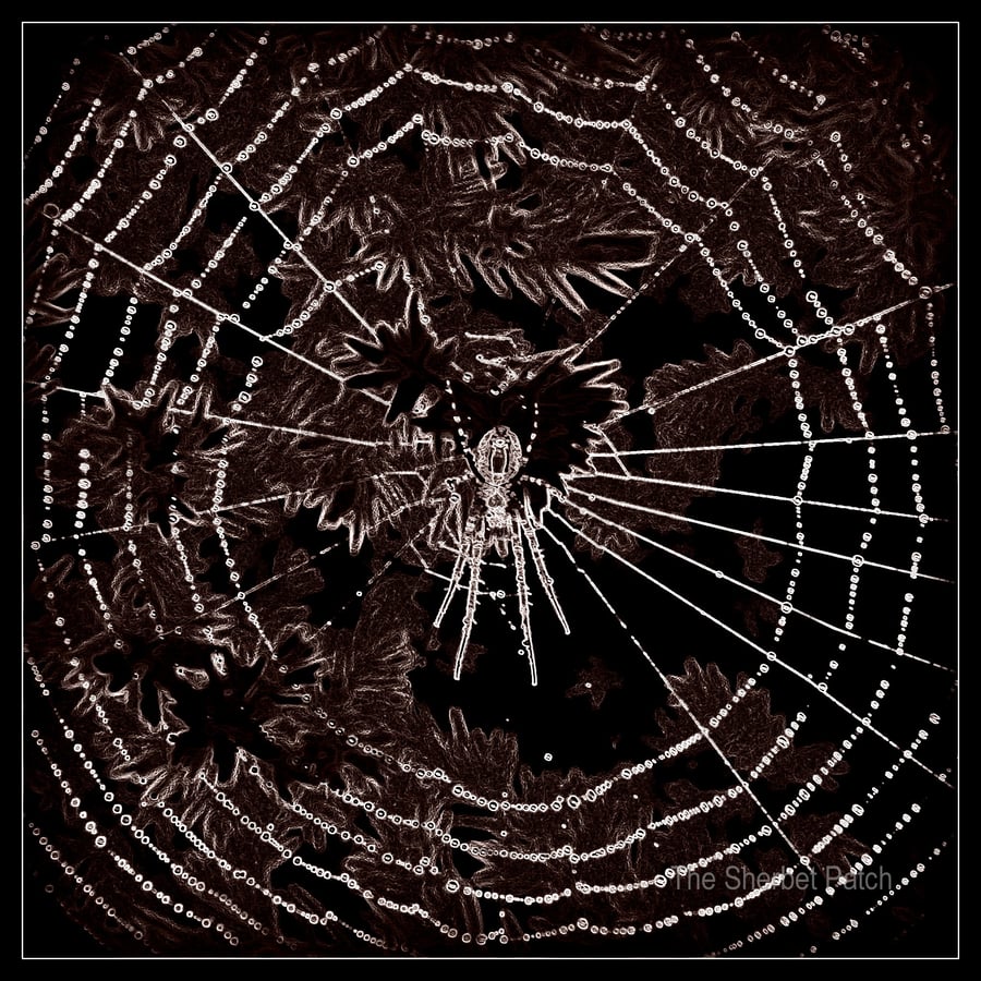 ''Spin me a web'' - neon  Greetings card.  (39)