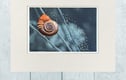 Fine Art Photographs