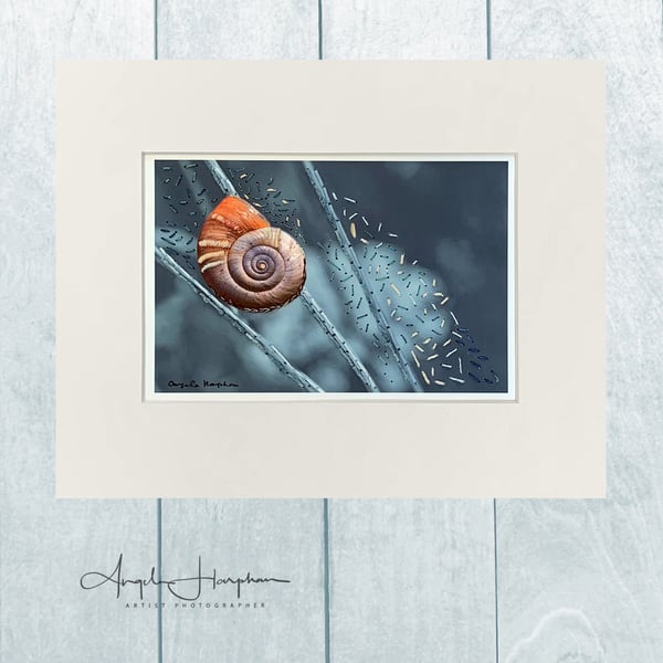 Embroidered Photograph - Mounted Picture - Snail in Normandy France