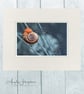 Embroidered Photograph - Mounted Picture - Snail in Normandy France - Image 1