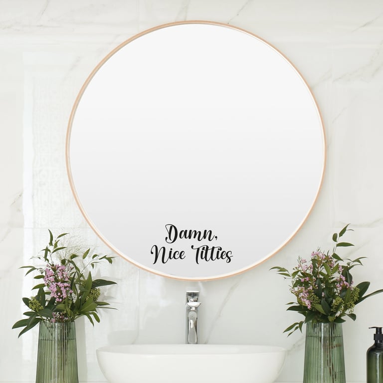 Mirror Sticker Positive Funny Saying Damn, Nice Titties Mirror Stickers Vinyl 