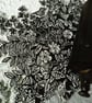 Hedge - Lino cut print - Image 3