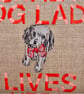Embroidered Feature Cushion: Crazy Dog Lady 46x30cm  - Image 3