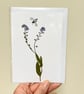 Perfectly Imperfect Real Pressed Flower, Wildflower Handmade Card