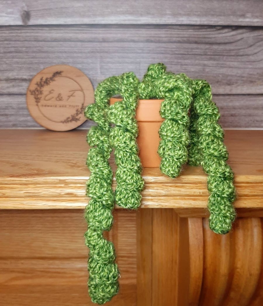 Crochet trailing spiral succulent, Desk plant, Crochet plant, Boho, Teacher gift