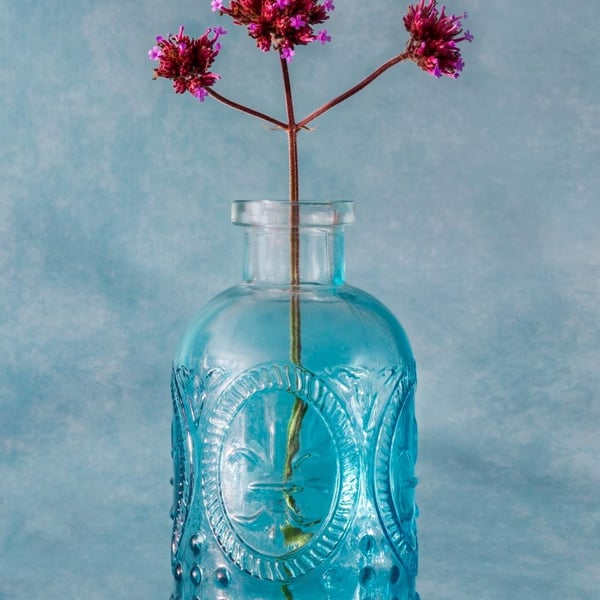 Verbena in blue bottle print