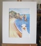 Print of Seagull visiting Durdle Door at Dorset Coast - Image 5