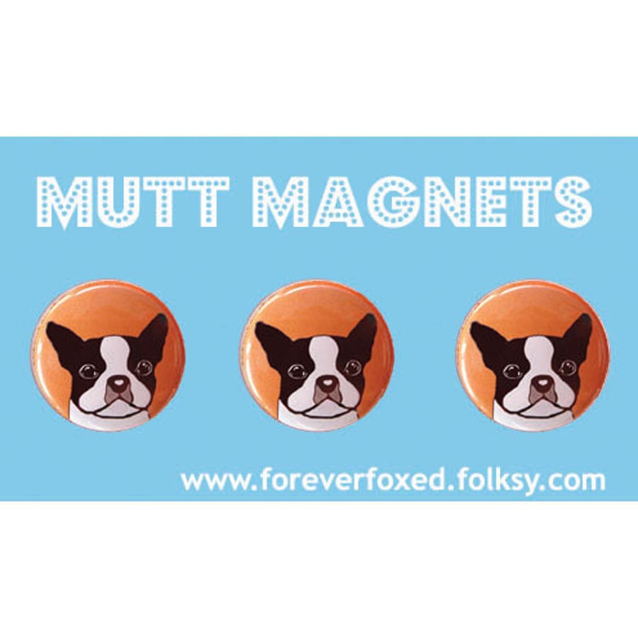 Boston Terrier Magnets