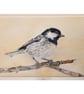 Coal Tit