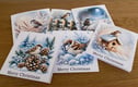 Card Packs