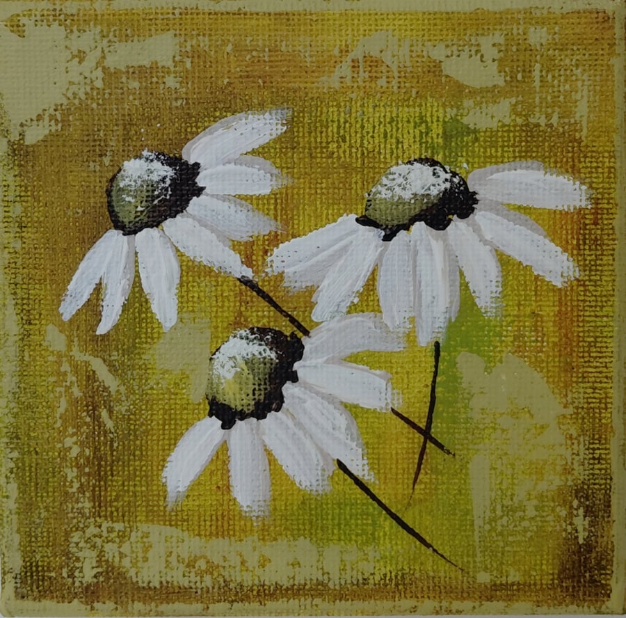 Original White Daisies Small Hand Painted Canva... - Folksy