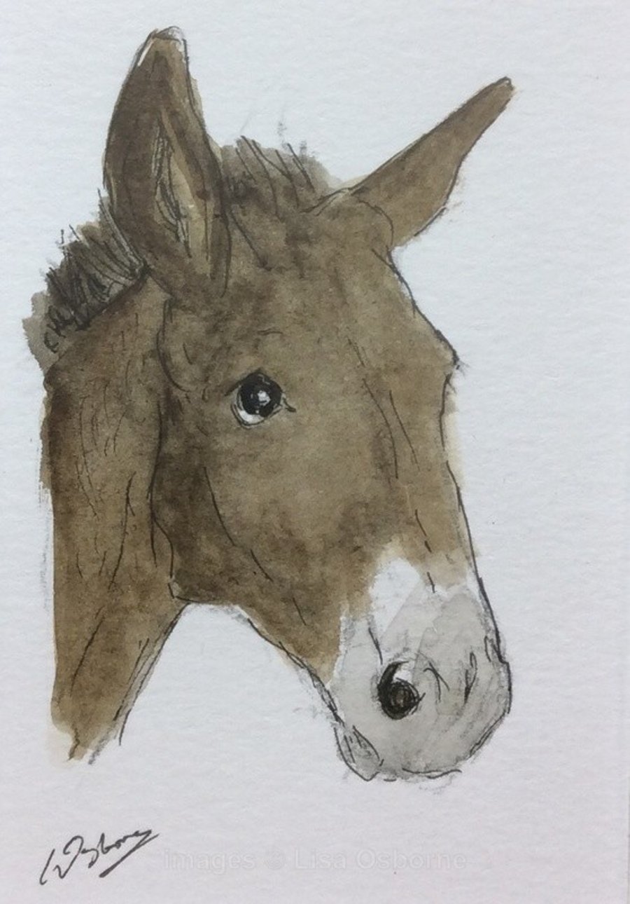 Donkey - original pen, ink and watercolour - ACEO