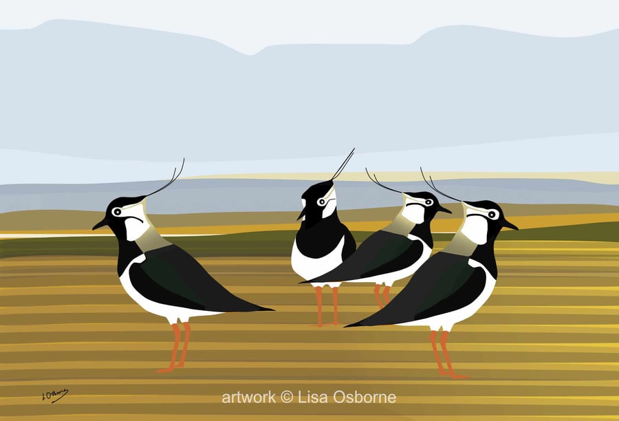 Lapwings - bird art print